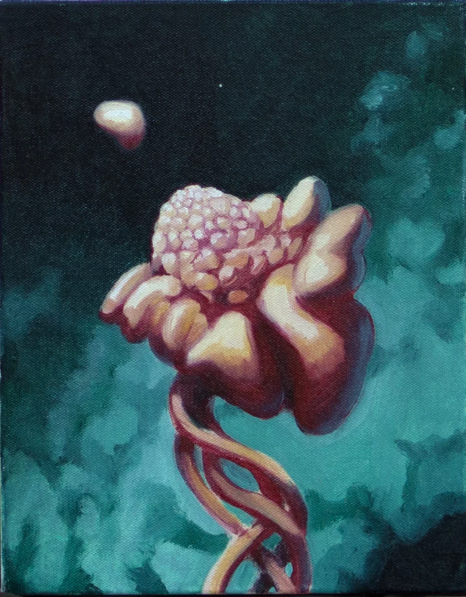 We all eat each other continually- cloud spaceship production beneath outermost layer on life world