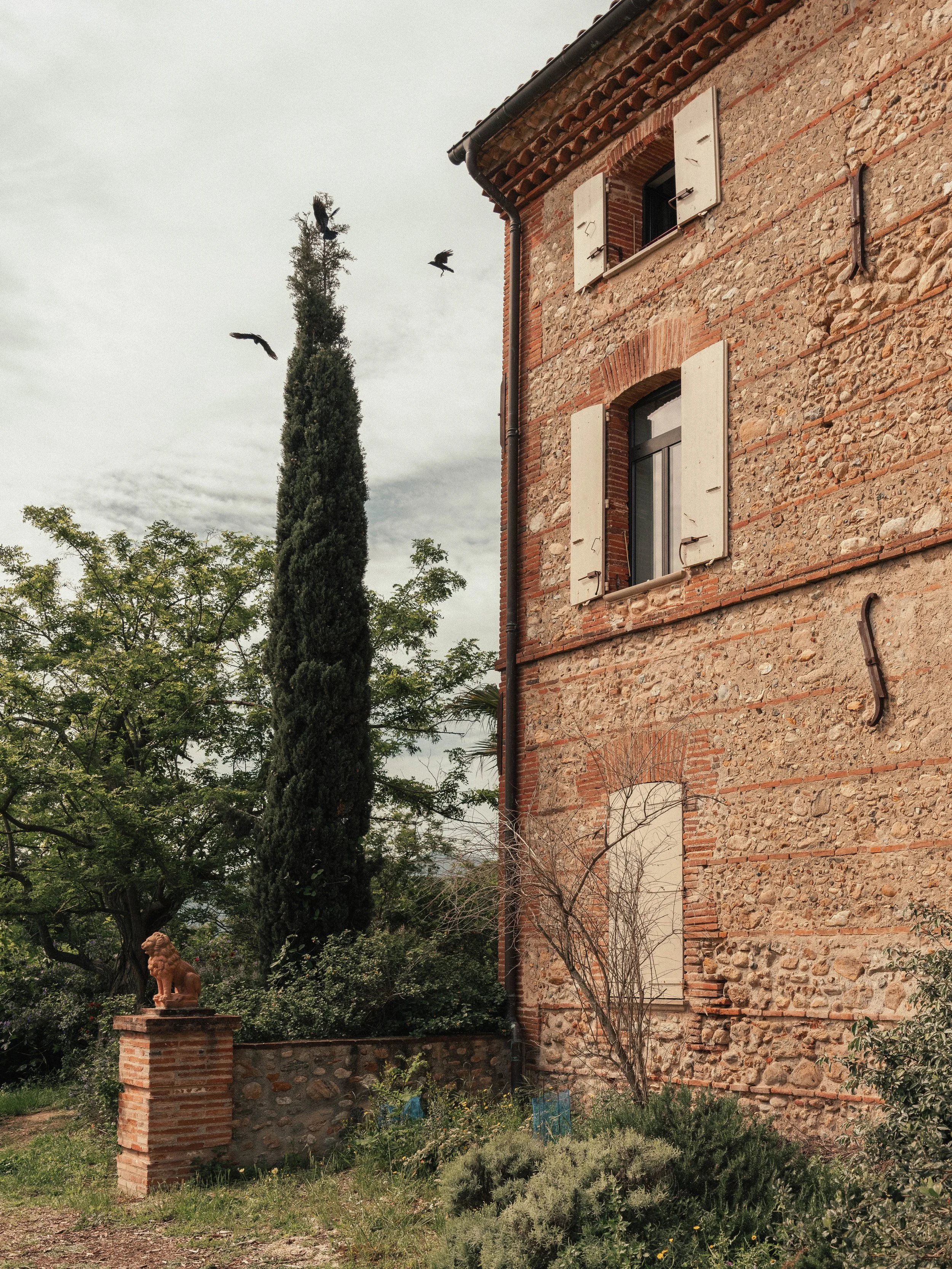 PERPIGNAN DOMAINE BELRIC MARIAGE VINSO PHOTOGRAPHE