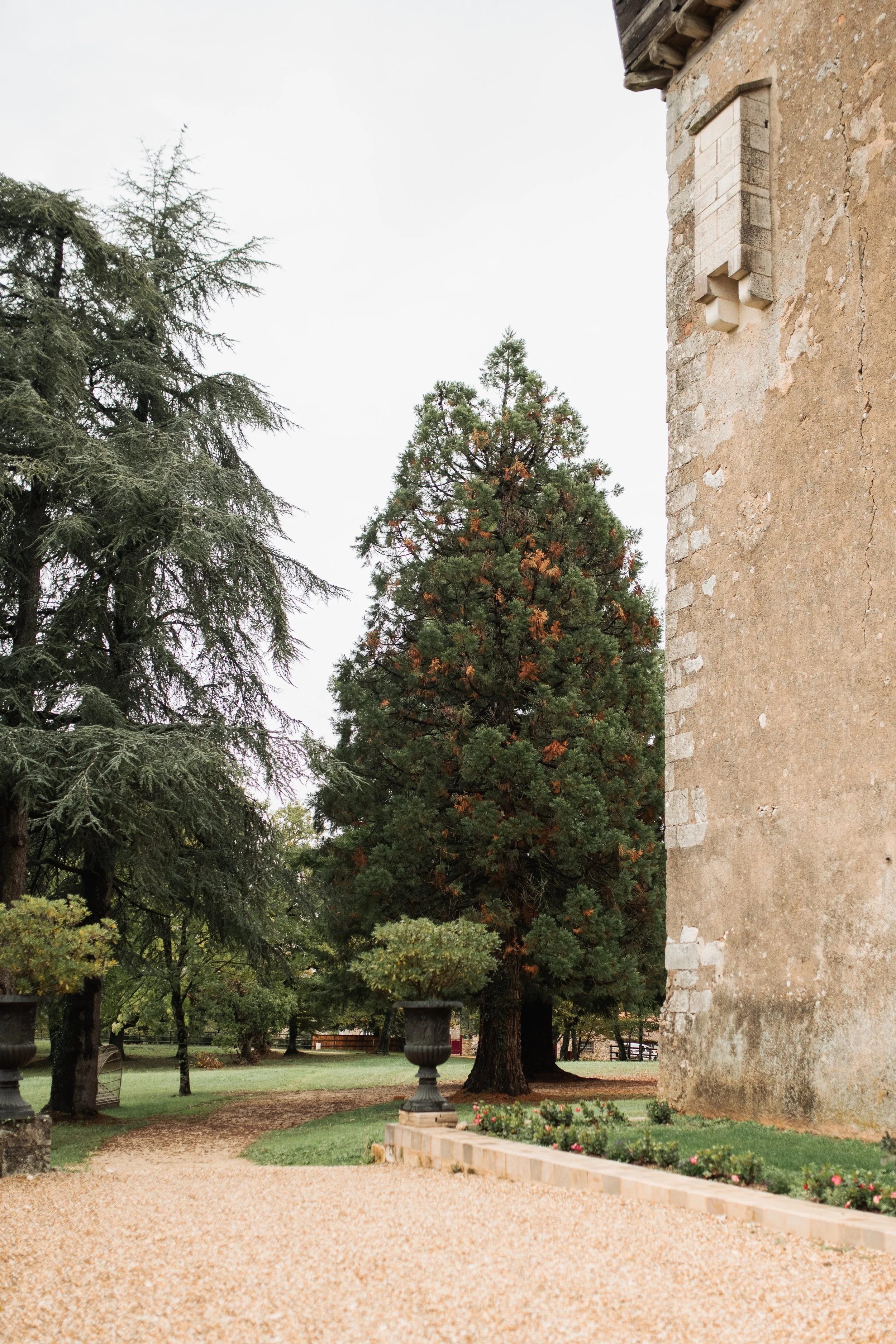 mariage-château-de-la-jarthe-domaine-mariage-photographe-vinso-dordogne-alice-thibaud