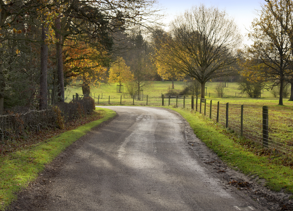 shutterstock_90008521.jpg