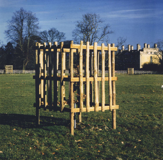 TREE IN CATTLE GUARD.jpg