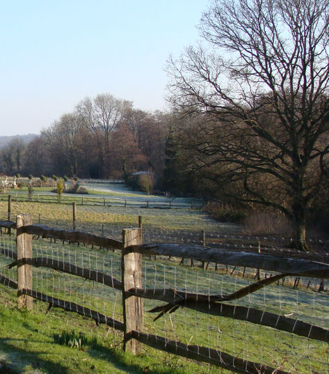 Paddockfencing52009.jpg