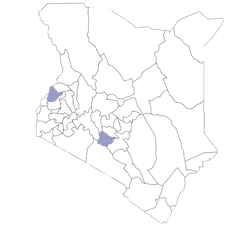 Cutout_transparent_MAP_CountiesIN-2019KenyaCounties.png