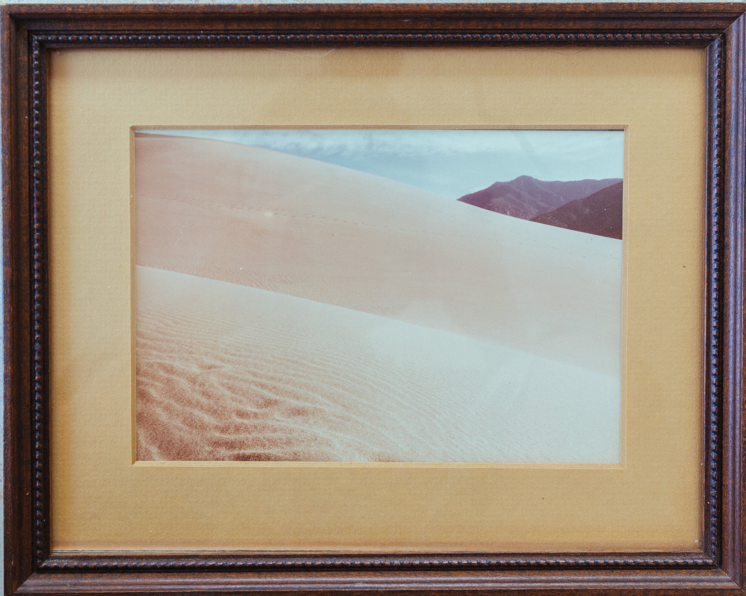 Colorado Sand Dune (Printed Photo)