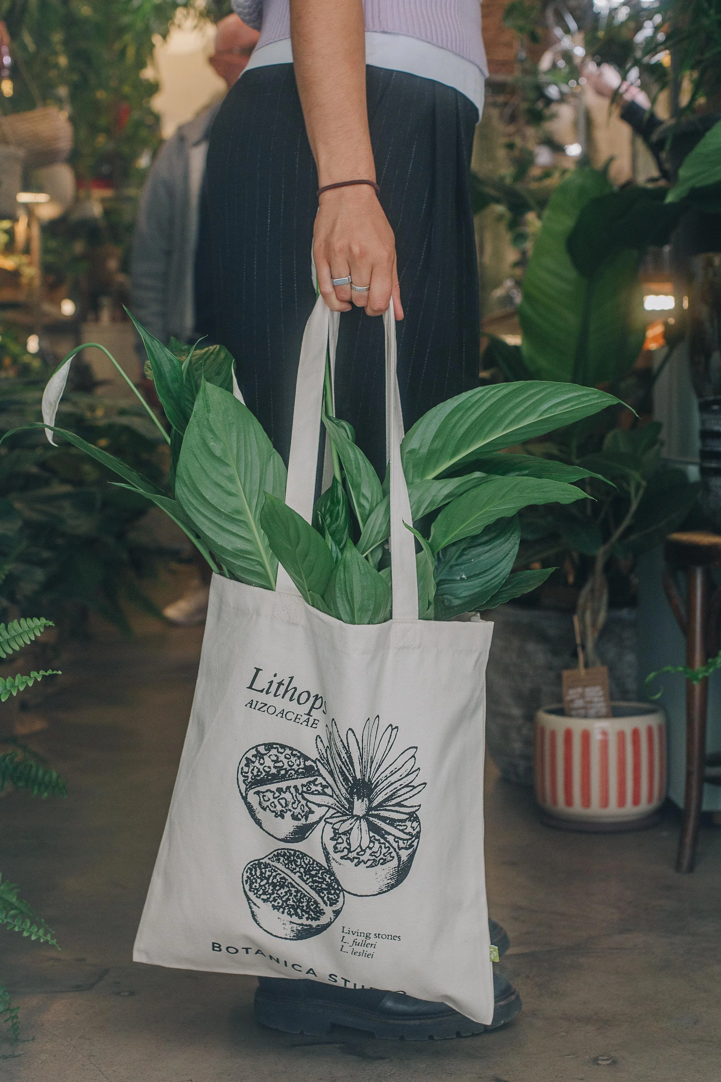 PHOTO-2025-09-11-23-29-13 2.jpg