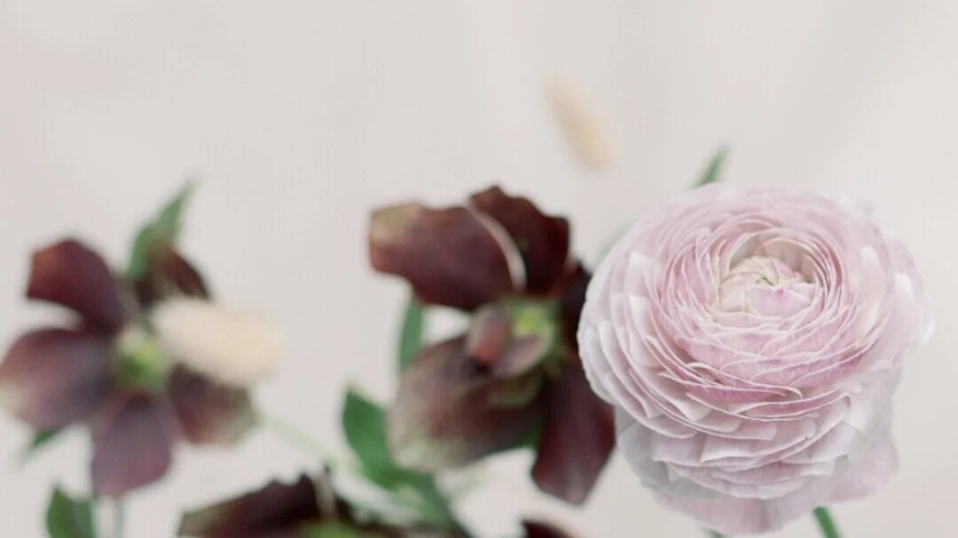 daniella van den huijssen