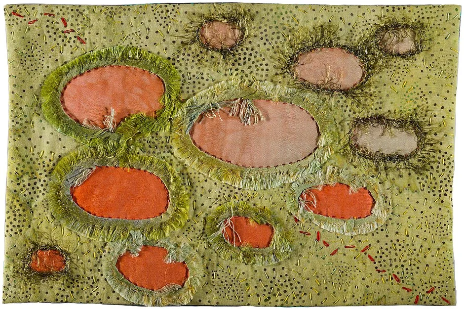 Fairy Circles - July 2013