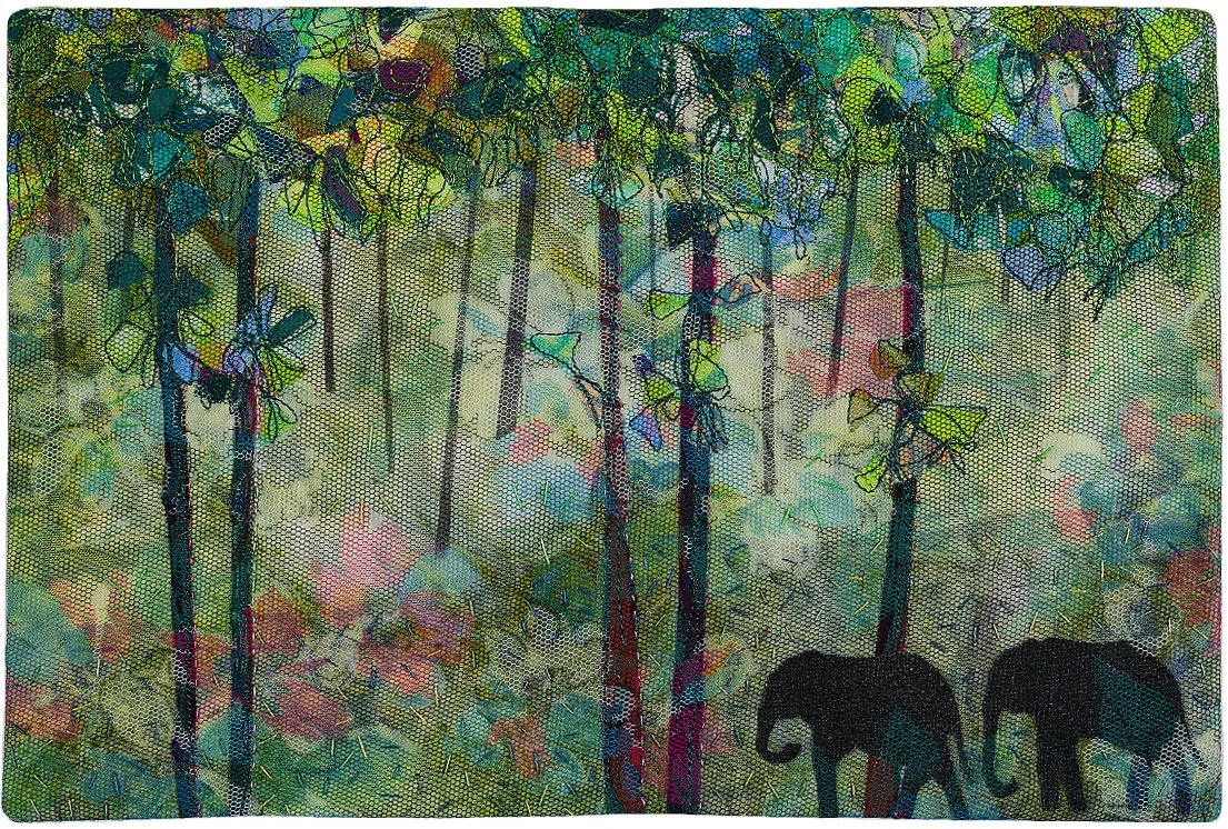Rain Forest - February 2013