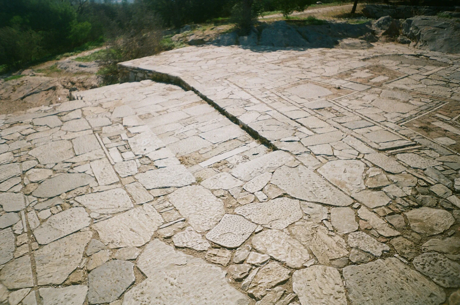 43880006.jpg