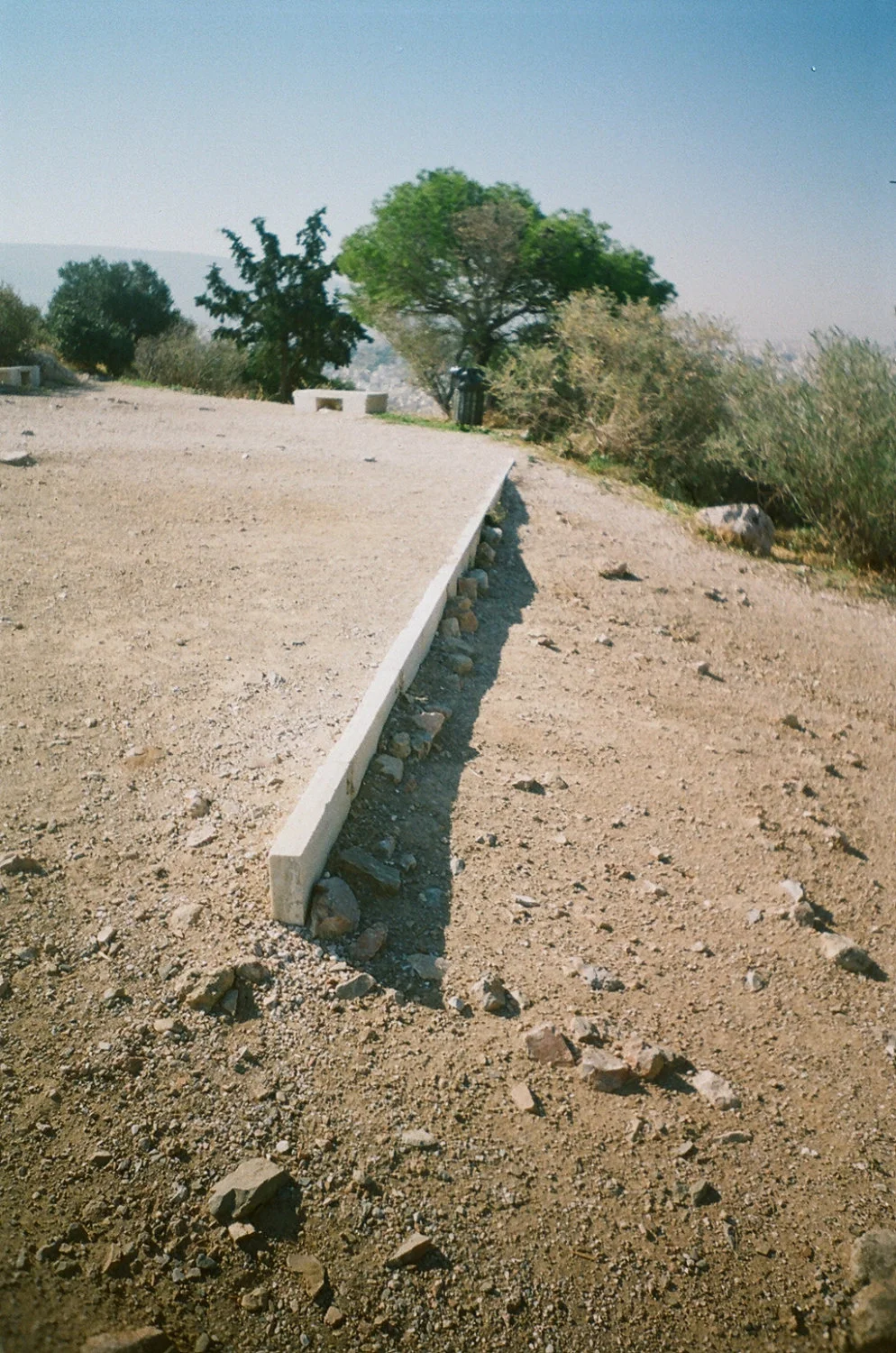 43880003.jpg