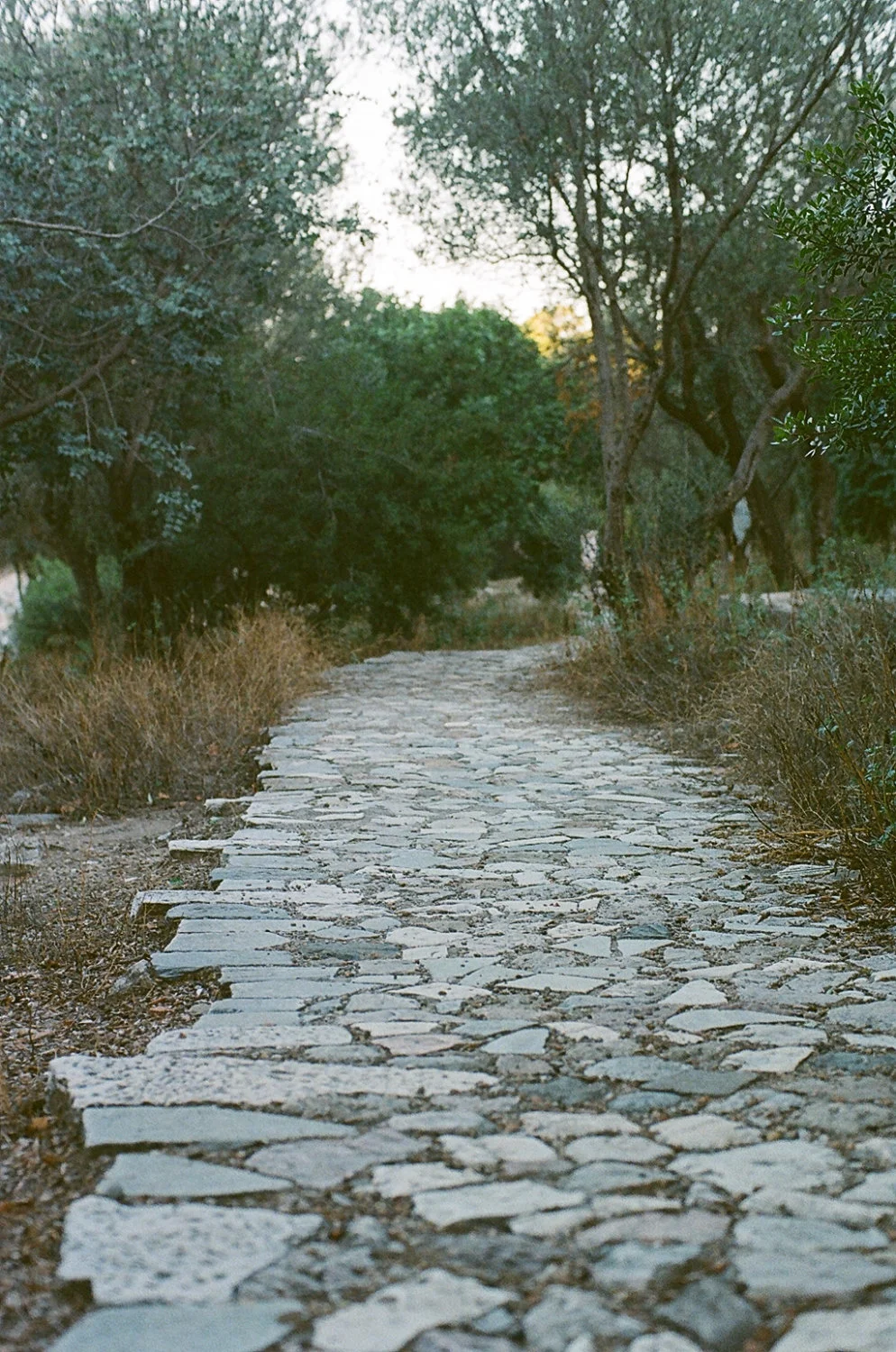 43860015.jpg