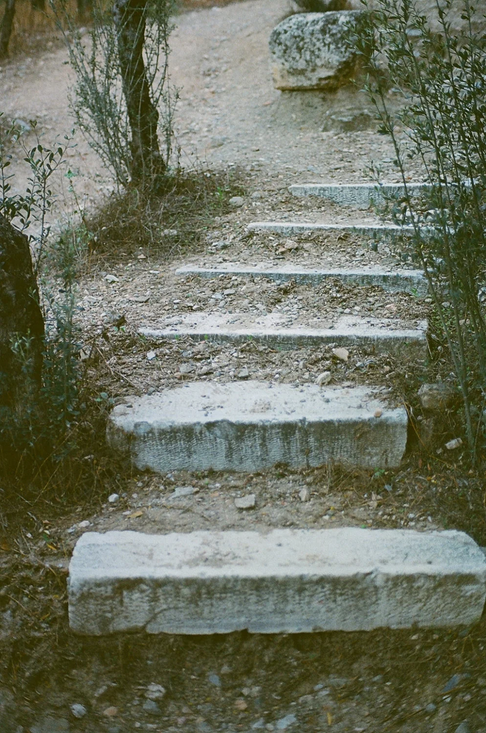43860008.jpg