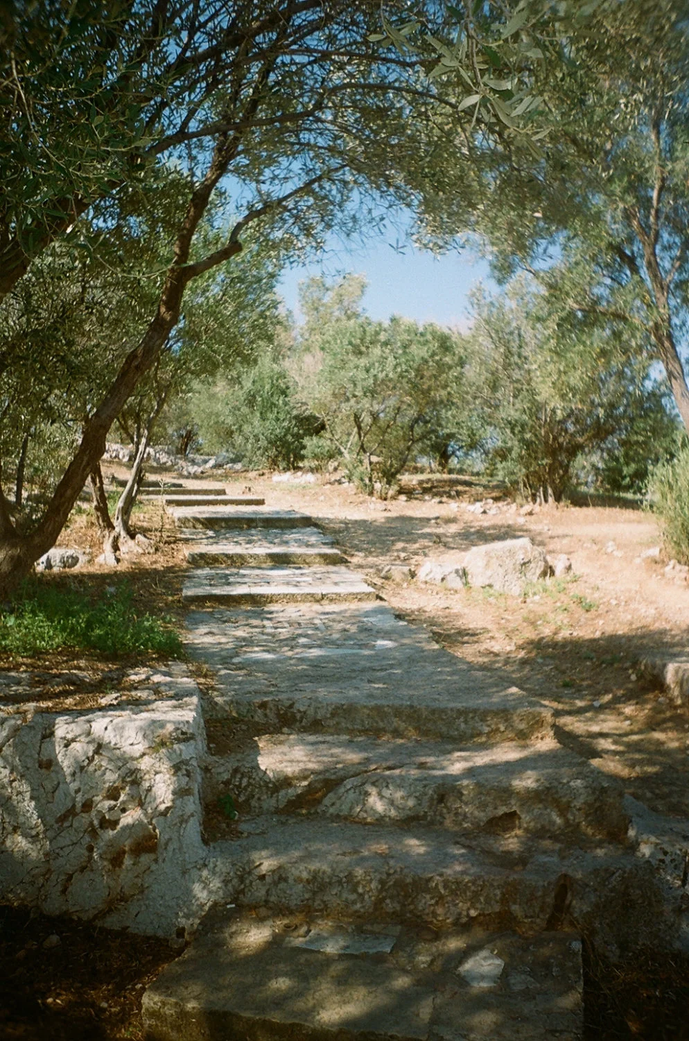 43880010.jpg