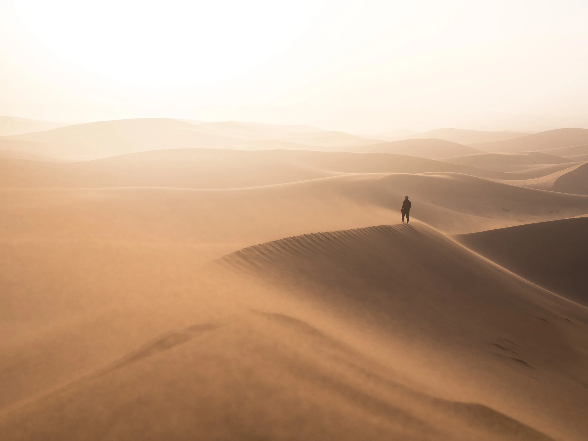 Storm in the Sahara