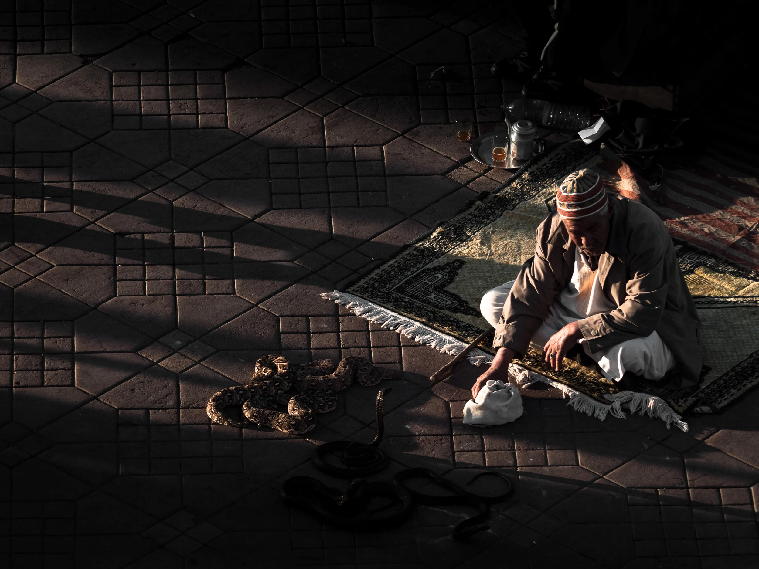 Snake Charmer