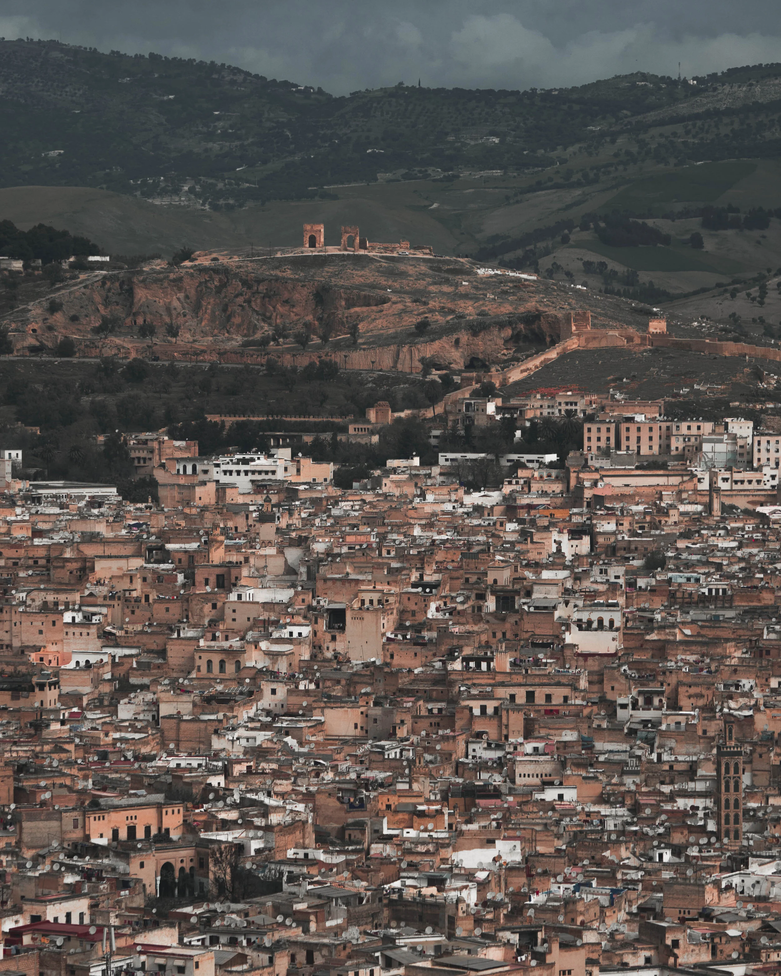 P4022548-2.jpg