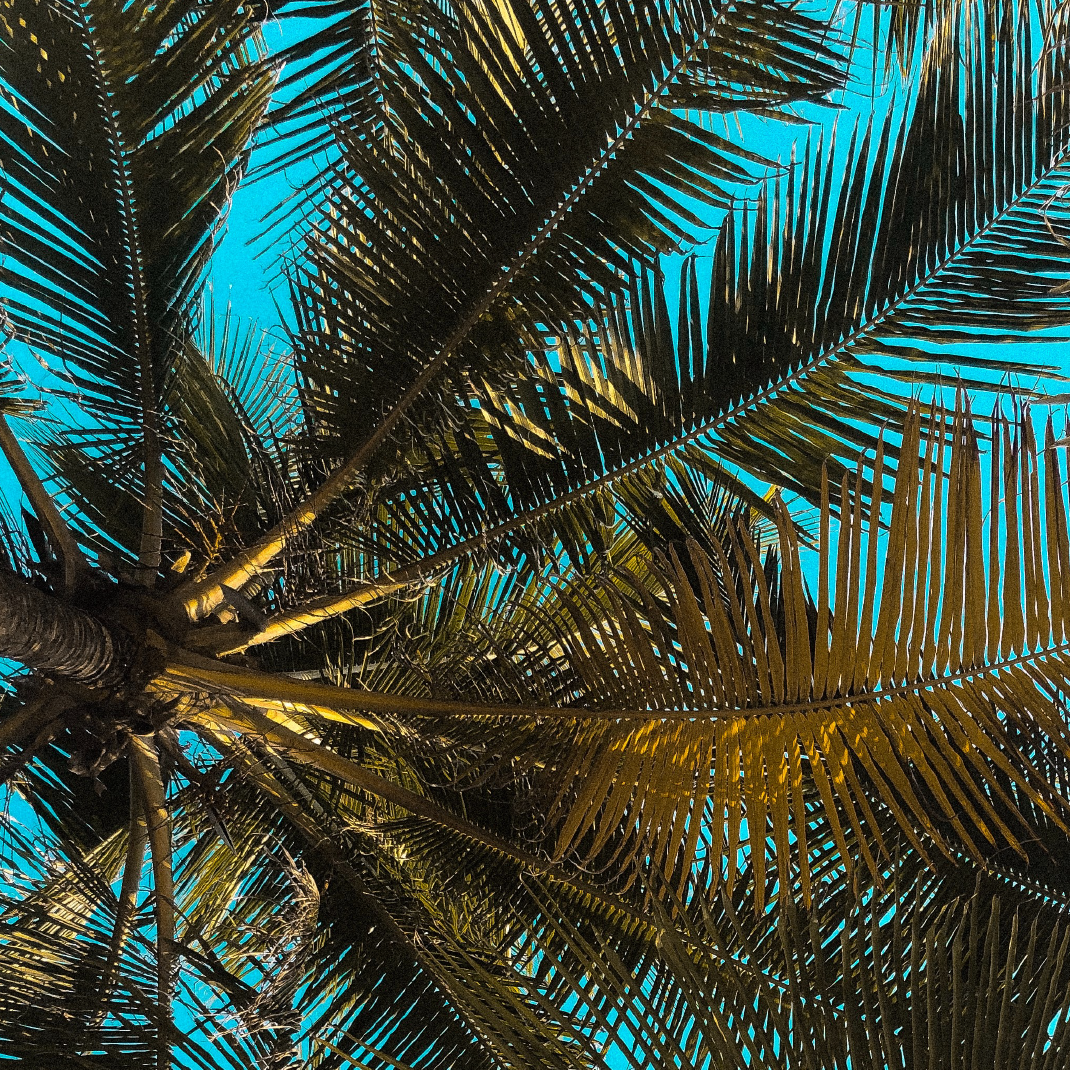 My first experience of Deliberate Travel happened at 6 years old