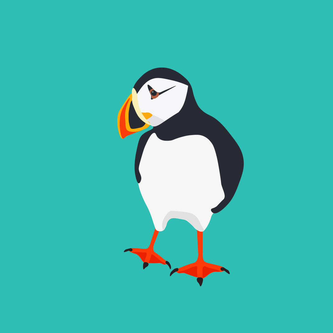 Insta_puffin.png