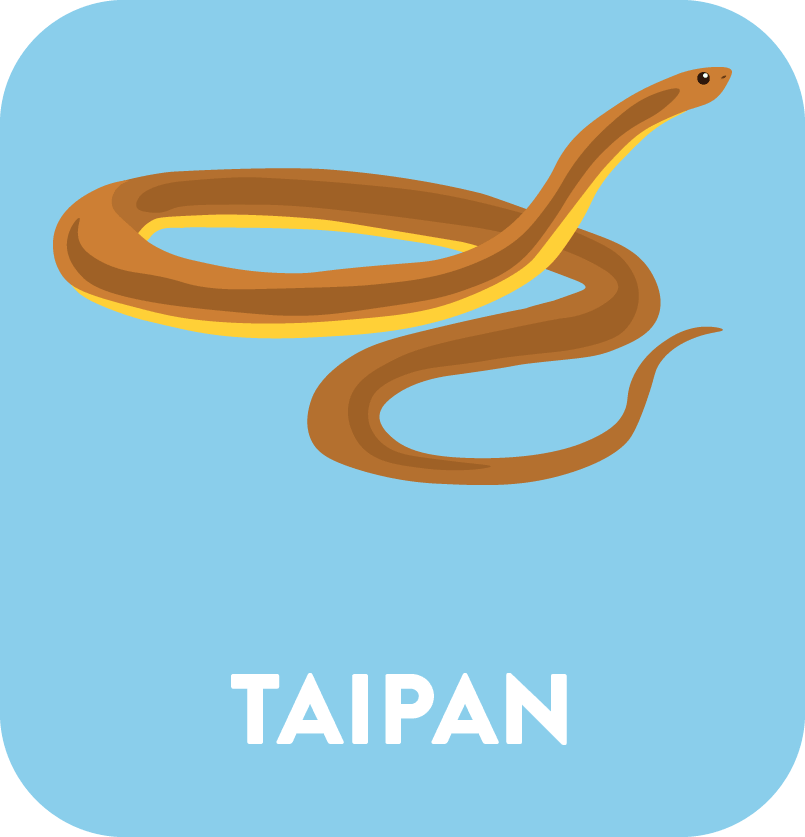 Asset 100-min (1).png