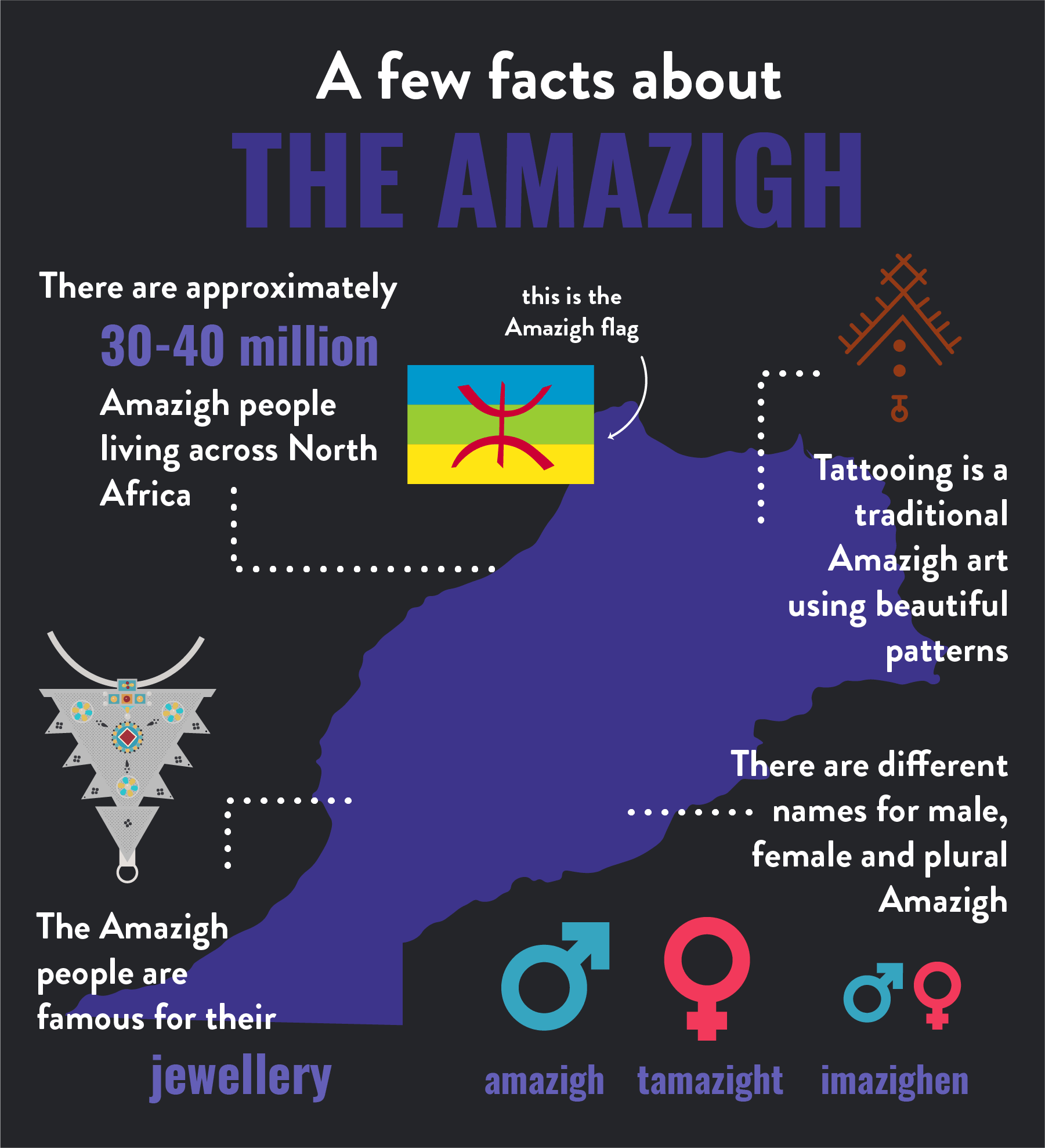 Amazigh infographic-min.png