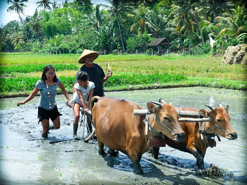 Astrid Vinje - Experiencing farming in Bali-min.jpg