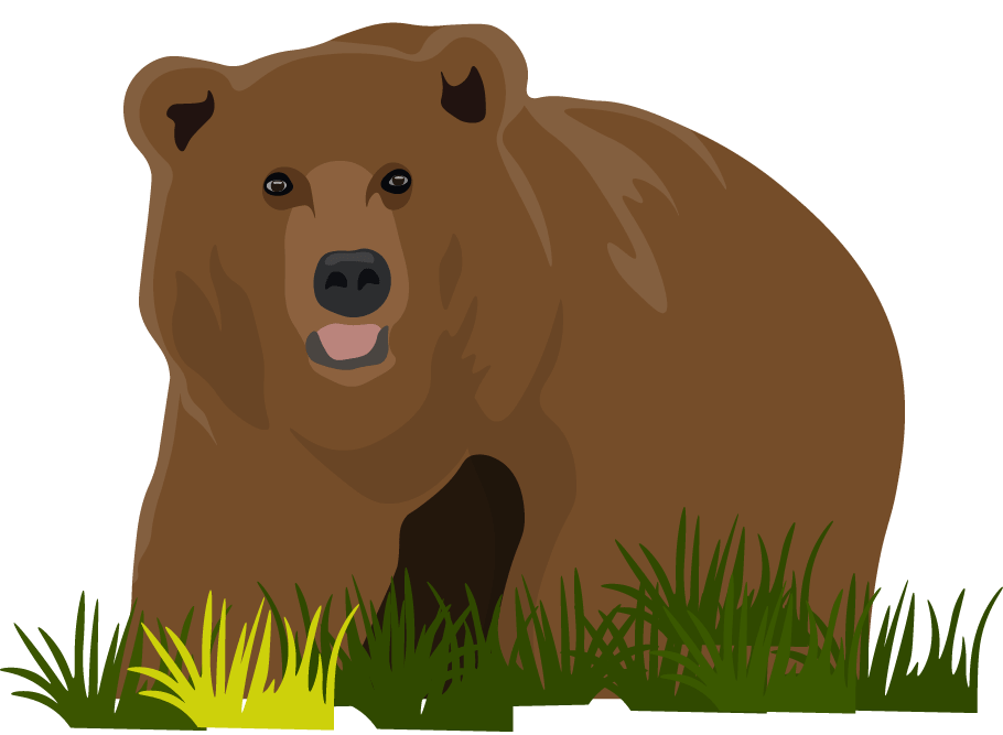 Bear-min (1).png