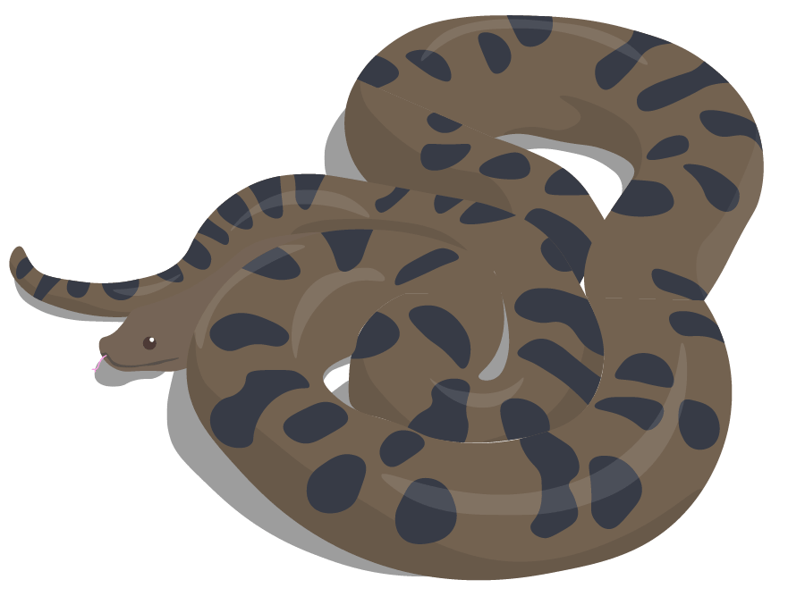 Serpent-min.png
