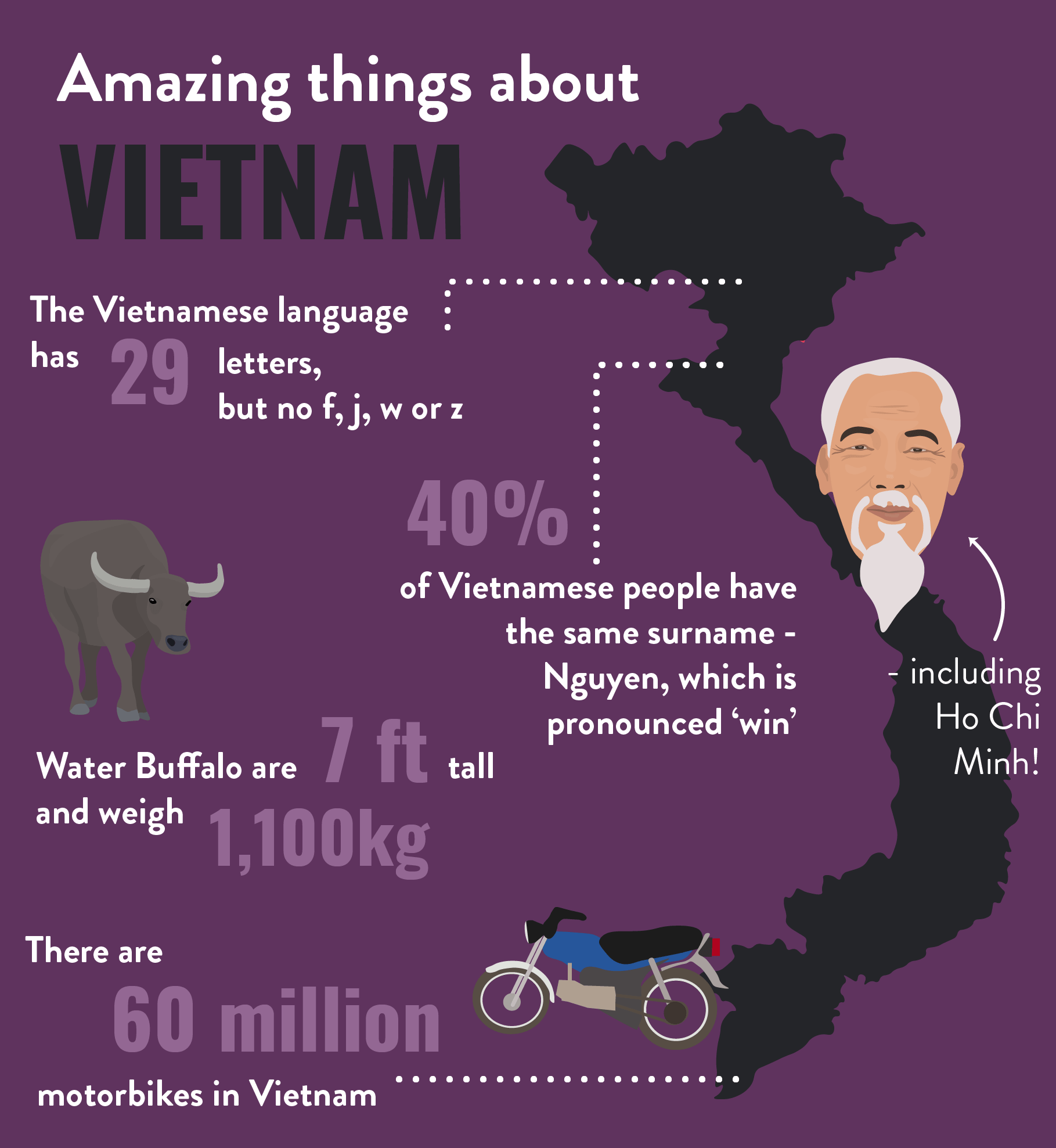 Vietnam_Infographic-min.png