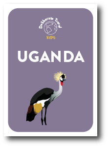 Asset 95-min (1).png