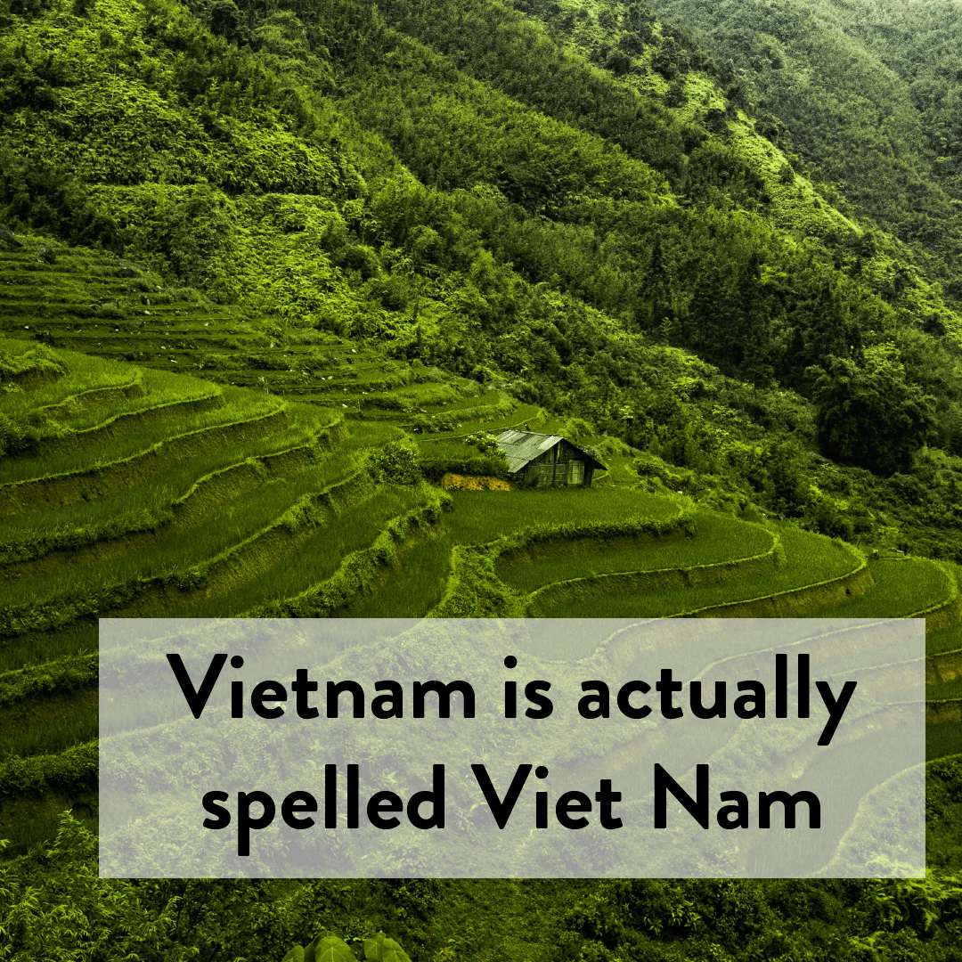 Artboard 19-min (1).png