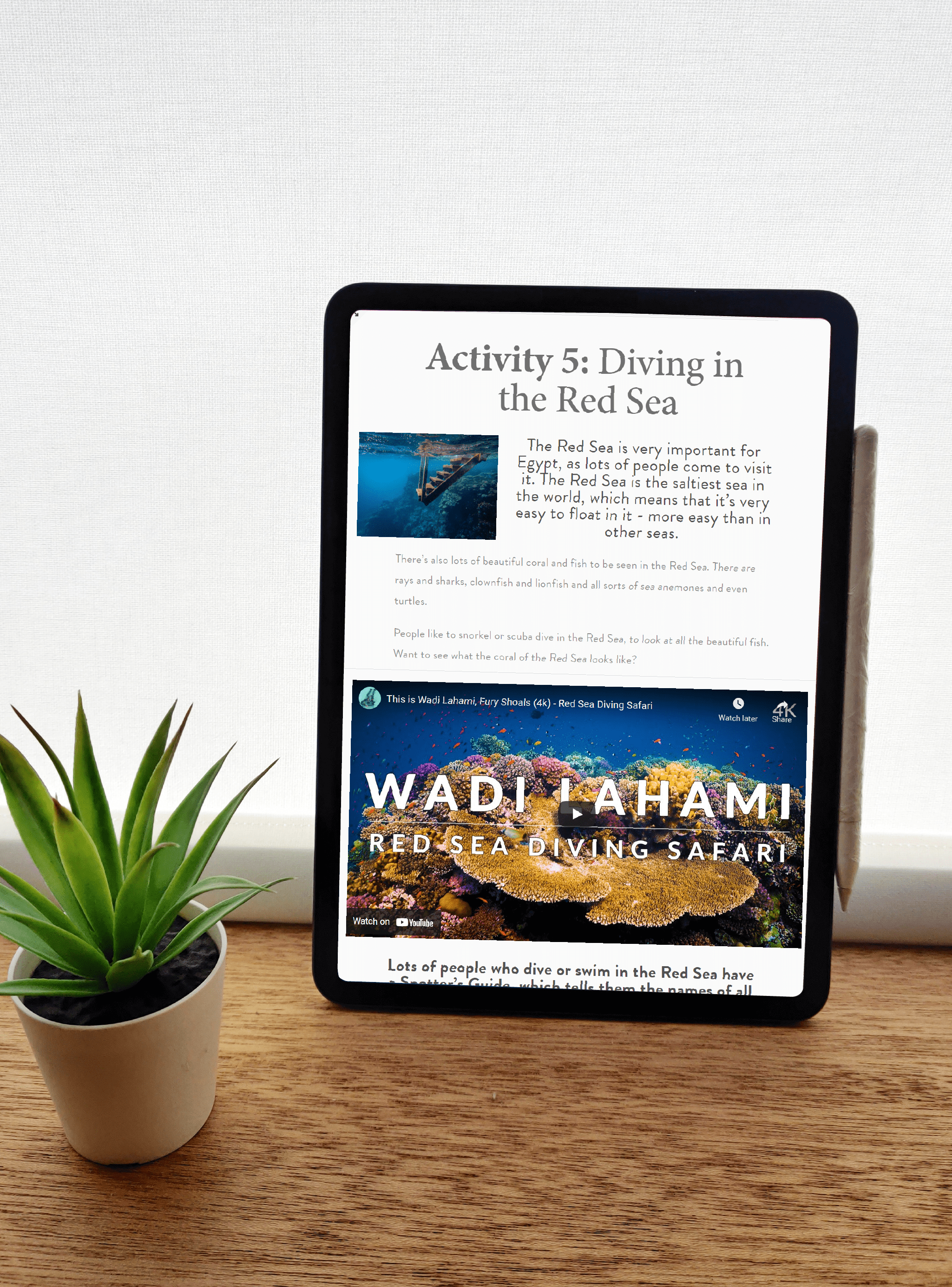 Artboard 16-min (2).png