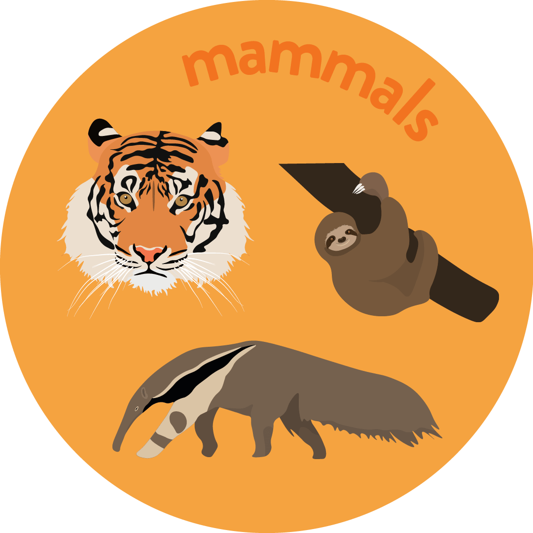 mammals-min.png