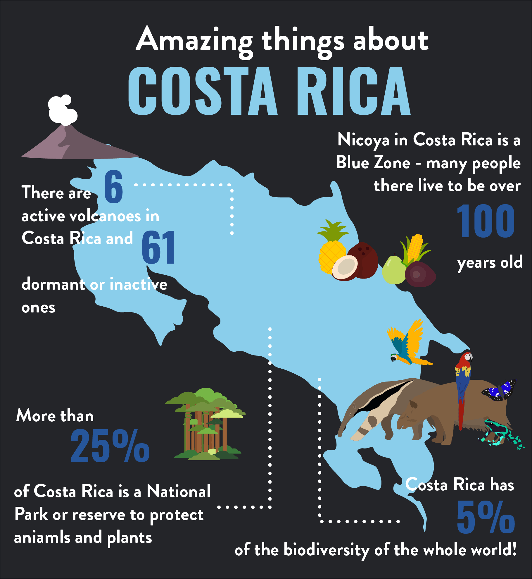 Costa Rica Infographic-min (1).png
