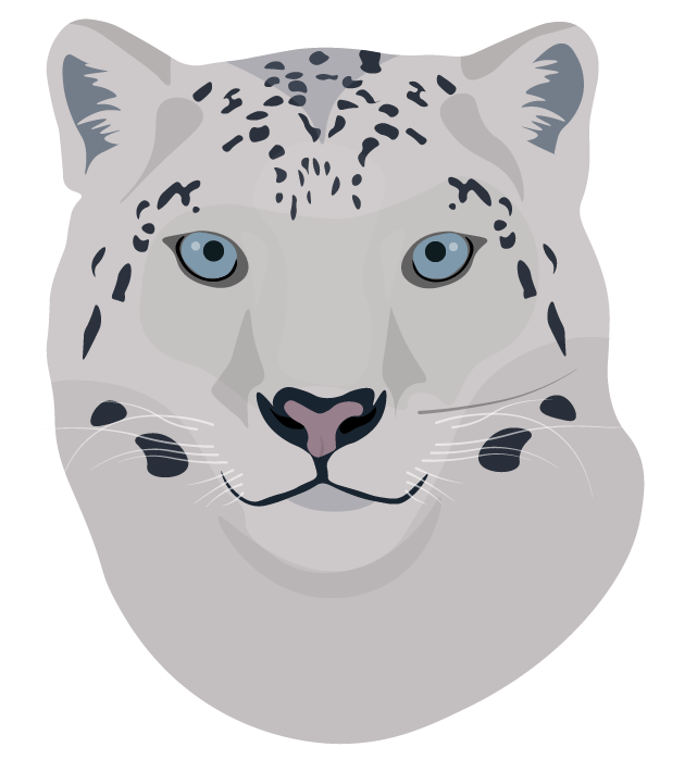 Snow Leopard-min.png