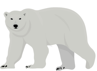 Polar Bear-min.png