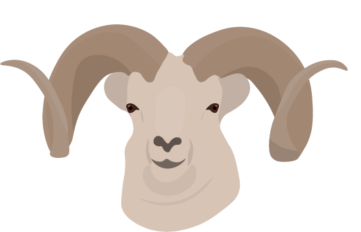 Dall SHeep-min.png