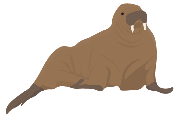 Walrus-min (1).png