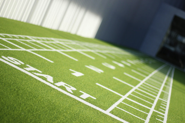 Turf 2.png