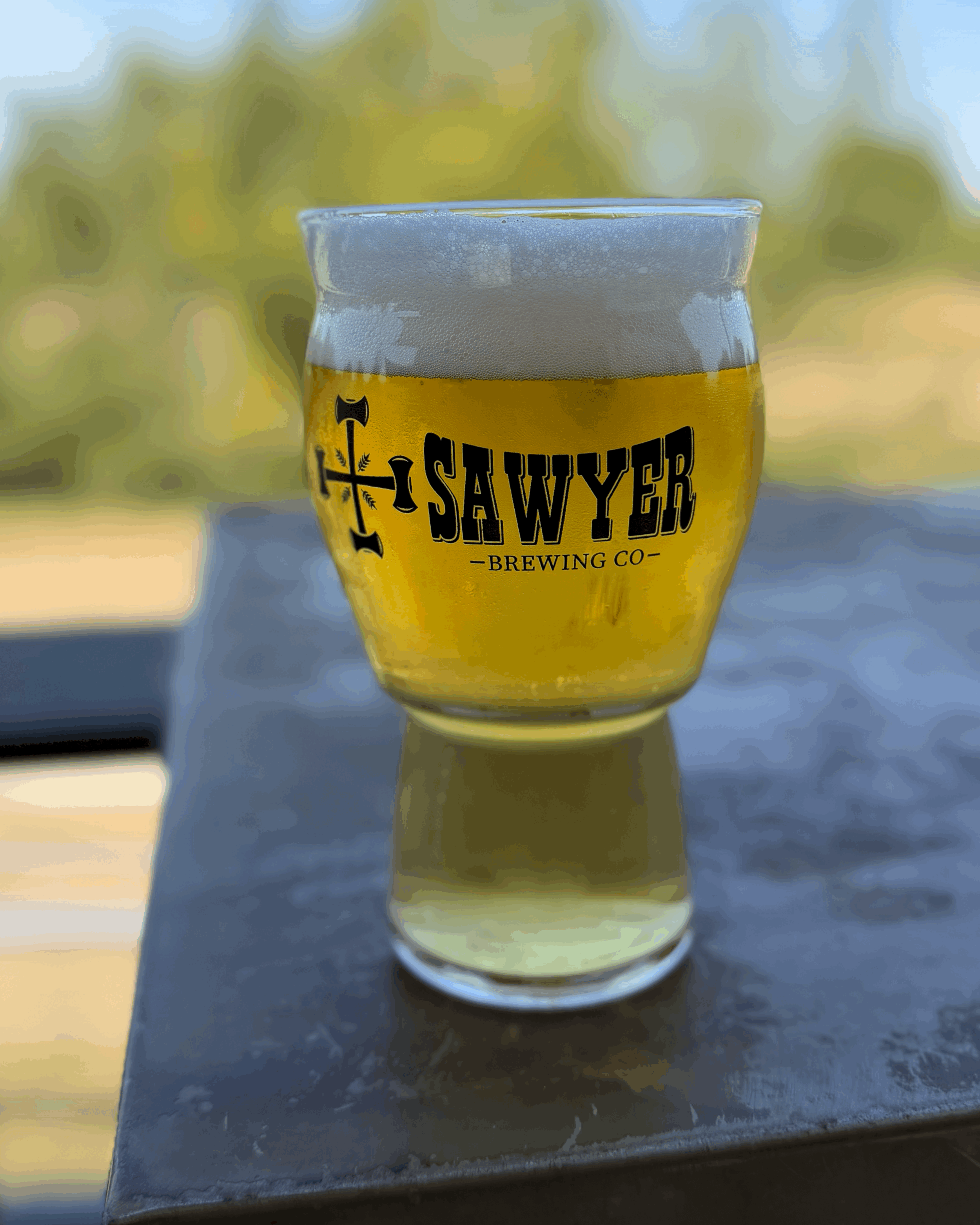 Sawyer Pint Glass
