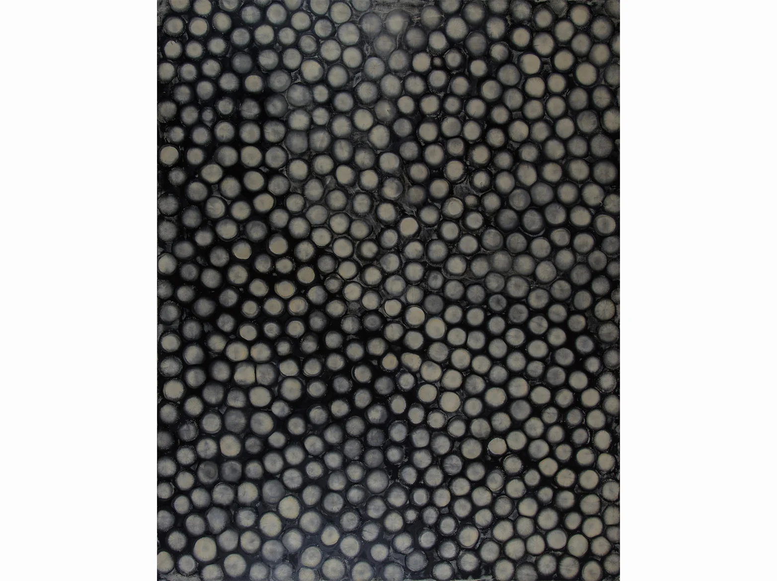 Ross Bleckner Specimen | 1993 - 1994 | oil and wax on canvas | 152,5 x 101,5 cm.