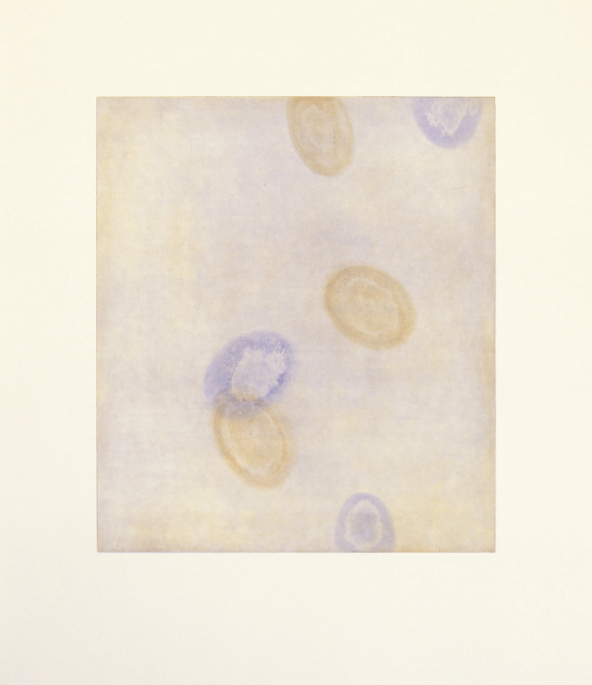 03 yellow blotch print.jpg