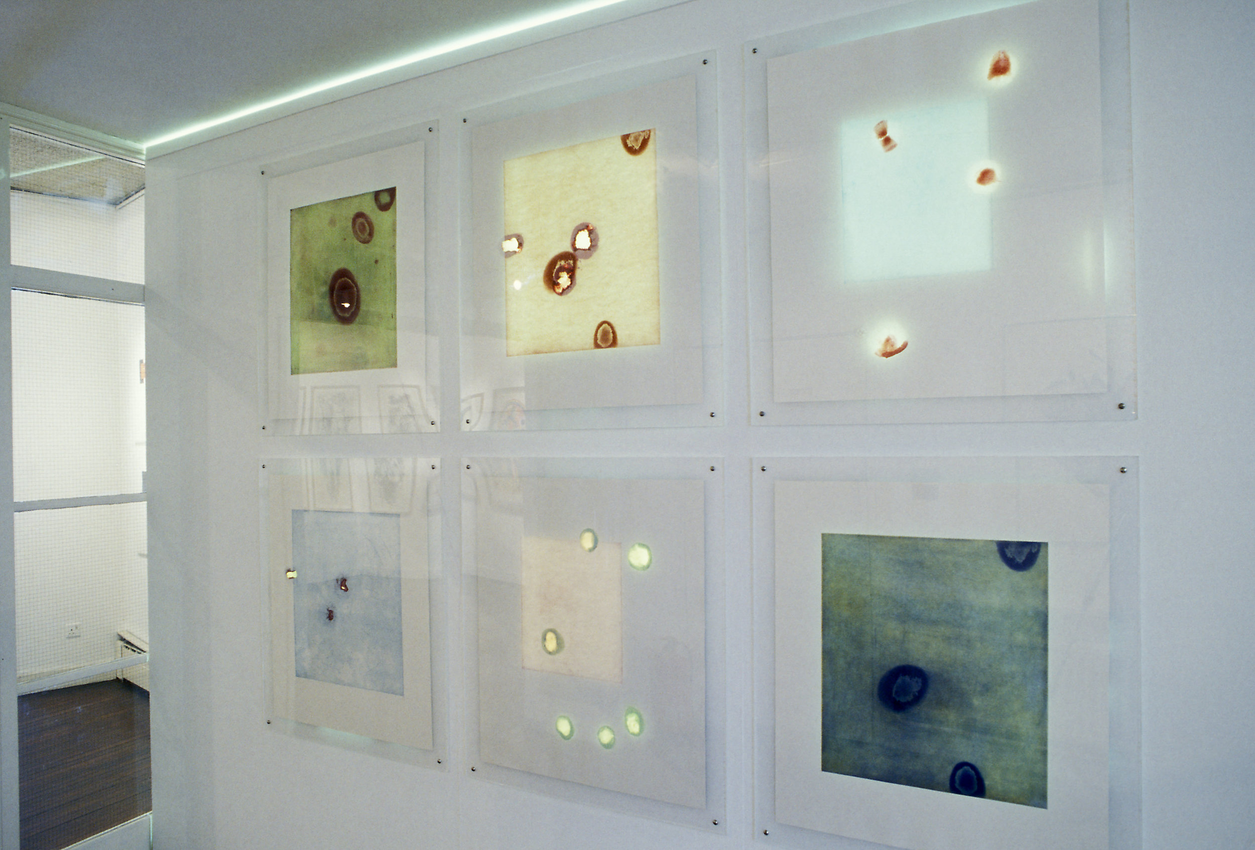  Installation view, Morley Gallery, London 