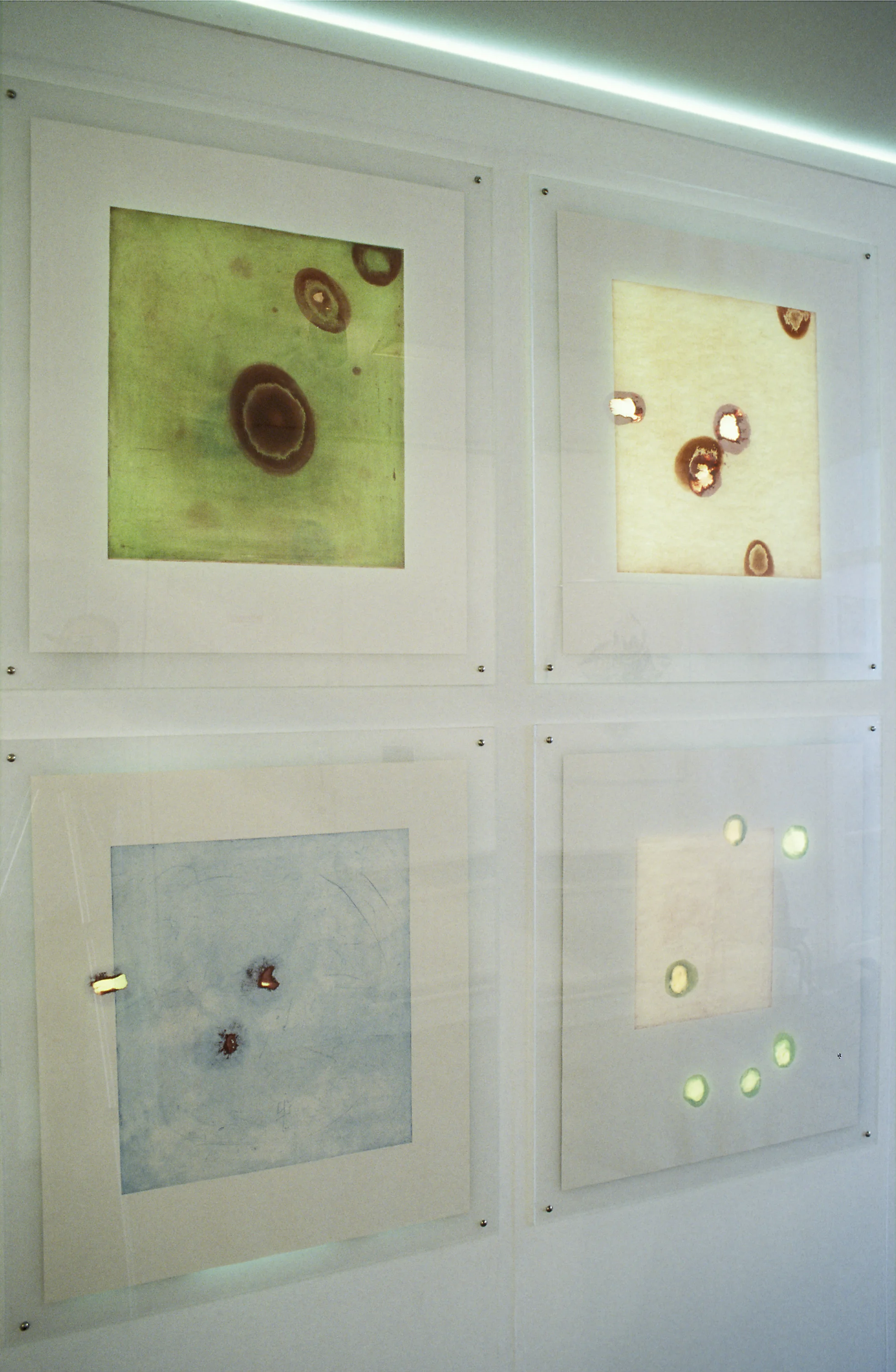   Installation view, Morley Gallery, London  