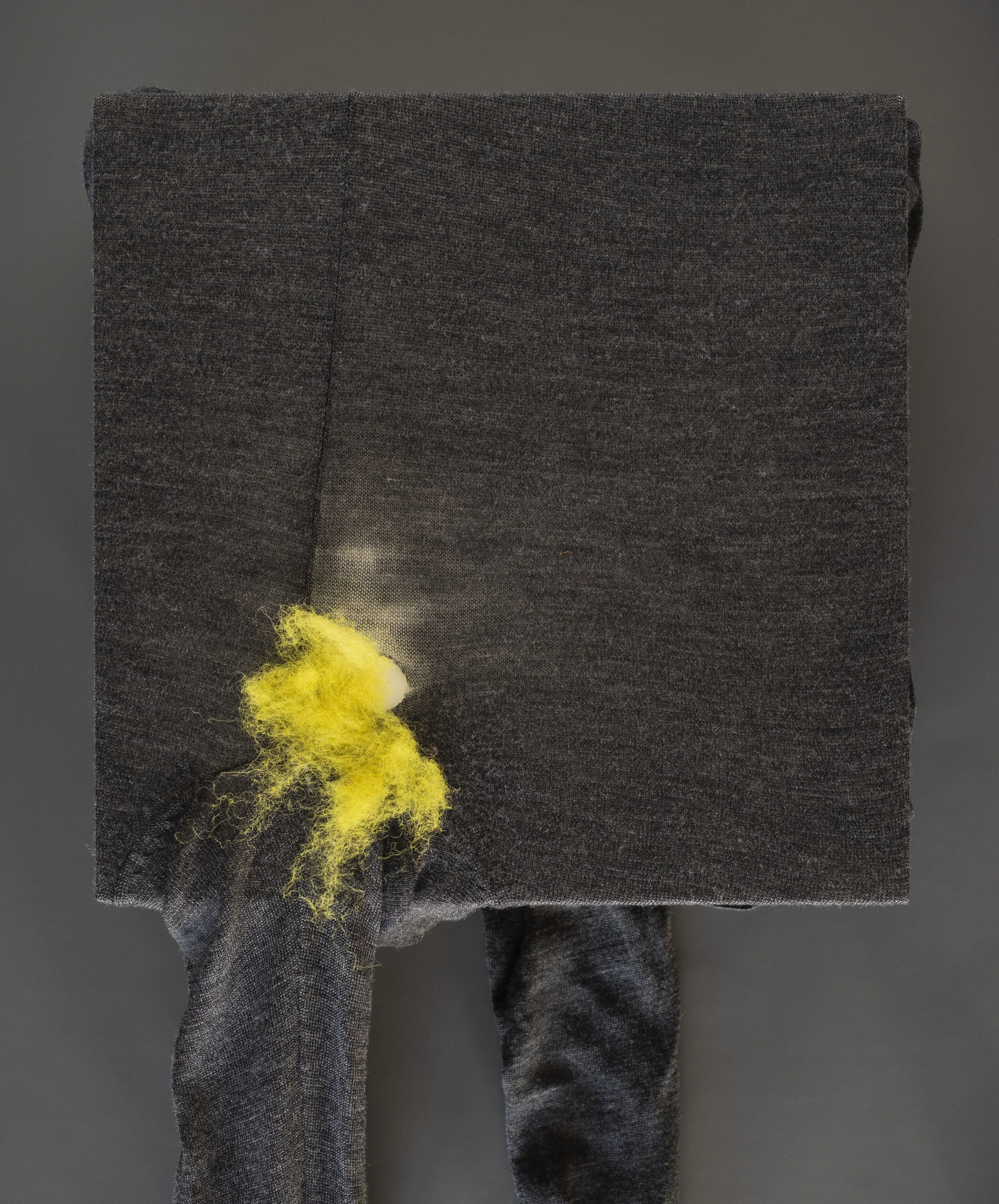 (W)hole: Mustard Merkin