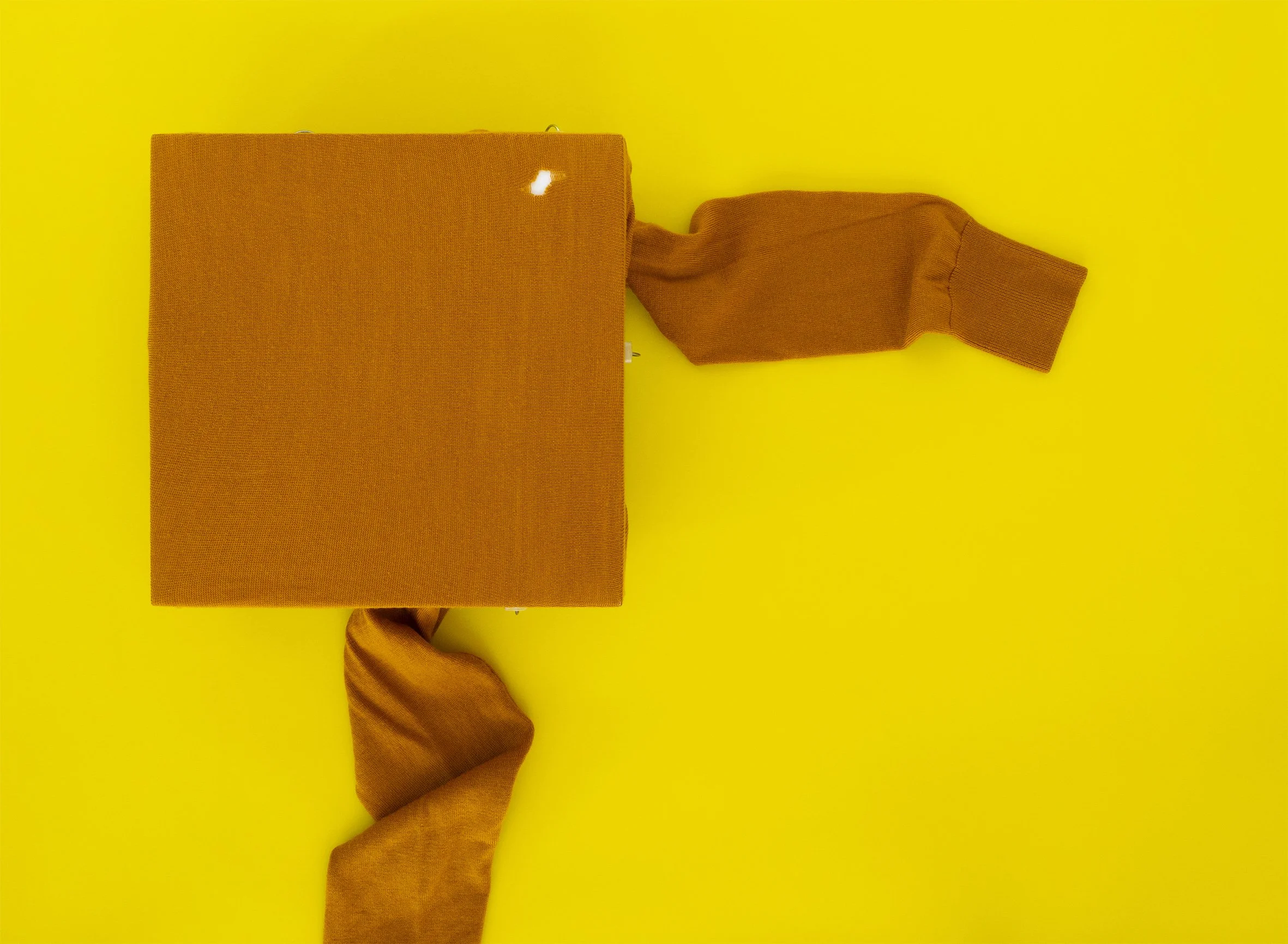 (W)hole: Marigold Marching