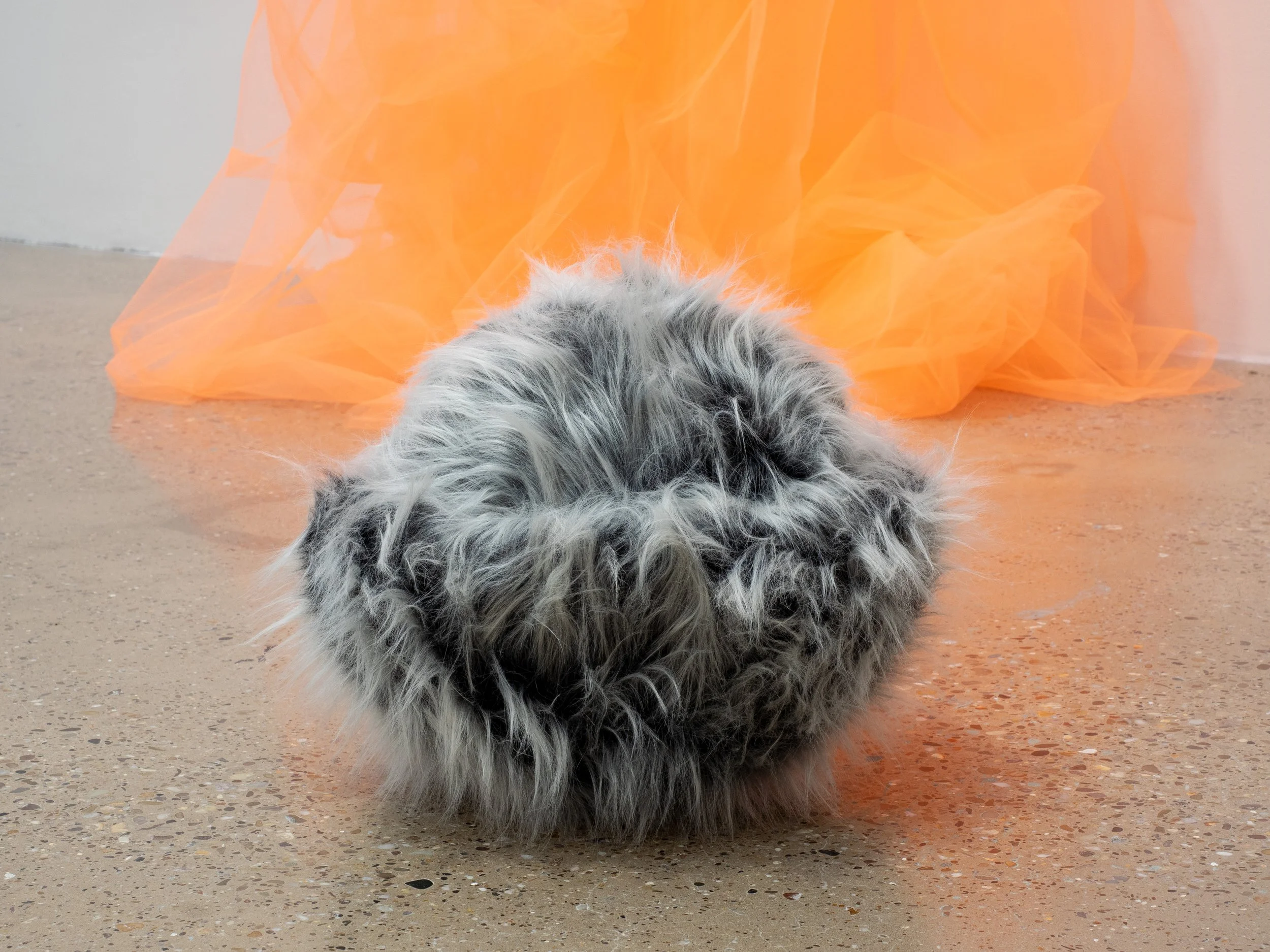 Installation View, LAC, 2025