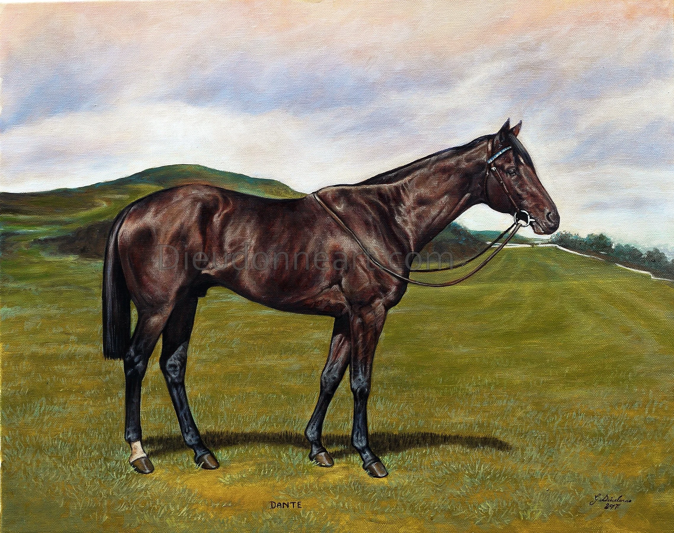 Dante on High Moor, Middleham