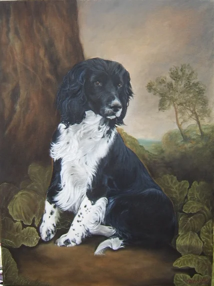 Hutchinson English Spaniel.JPG