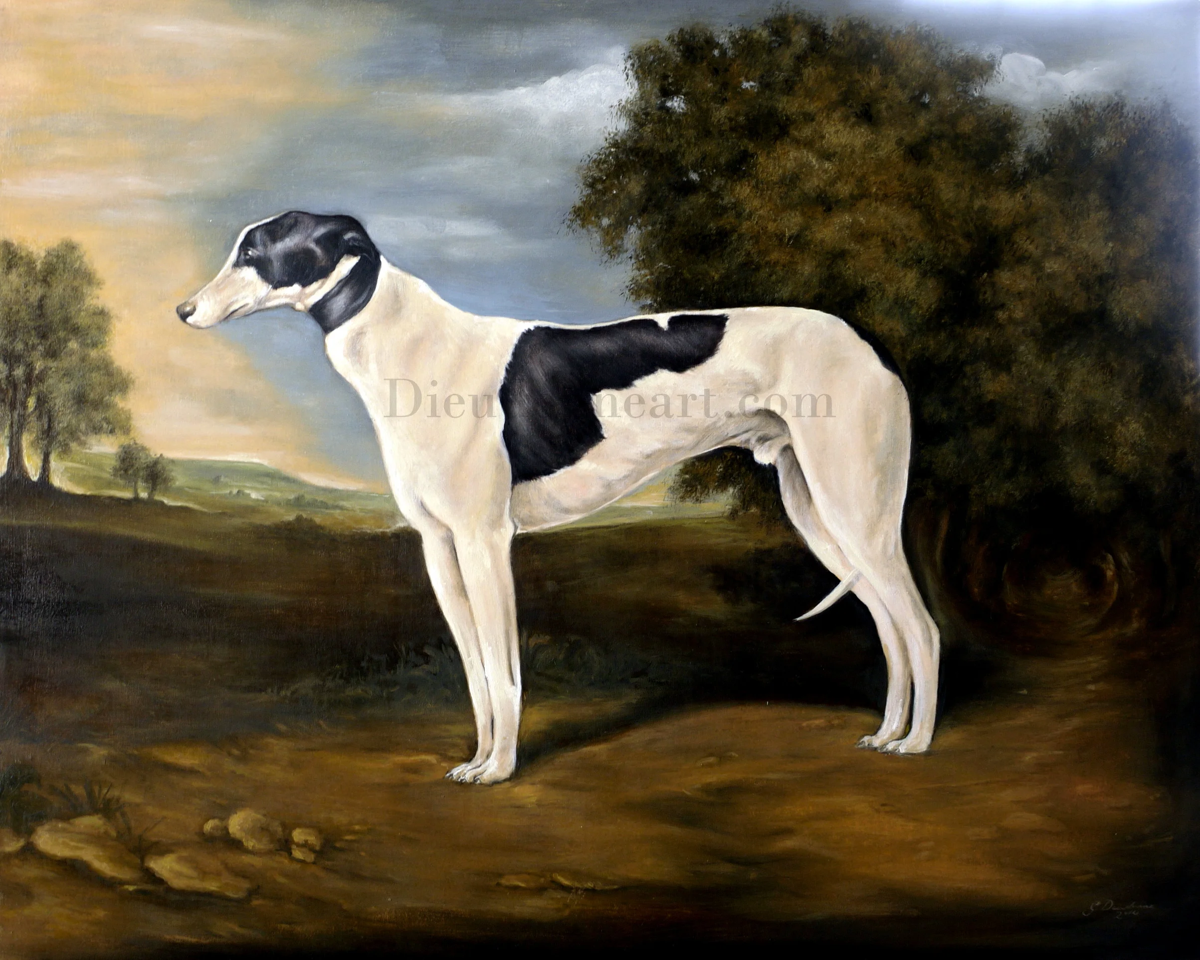 Lasha Expectation (The Greyhound)