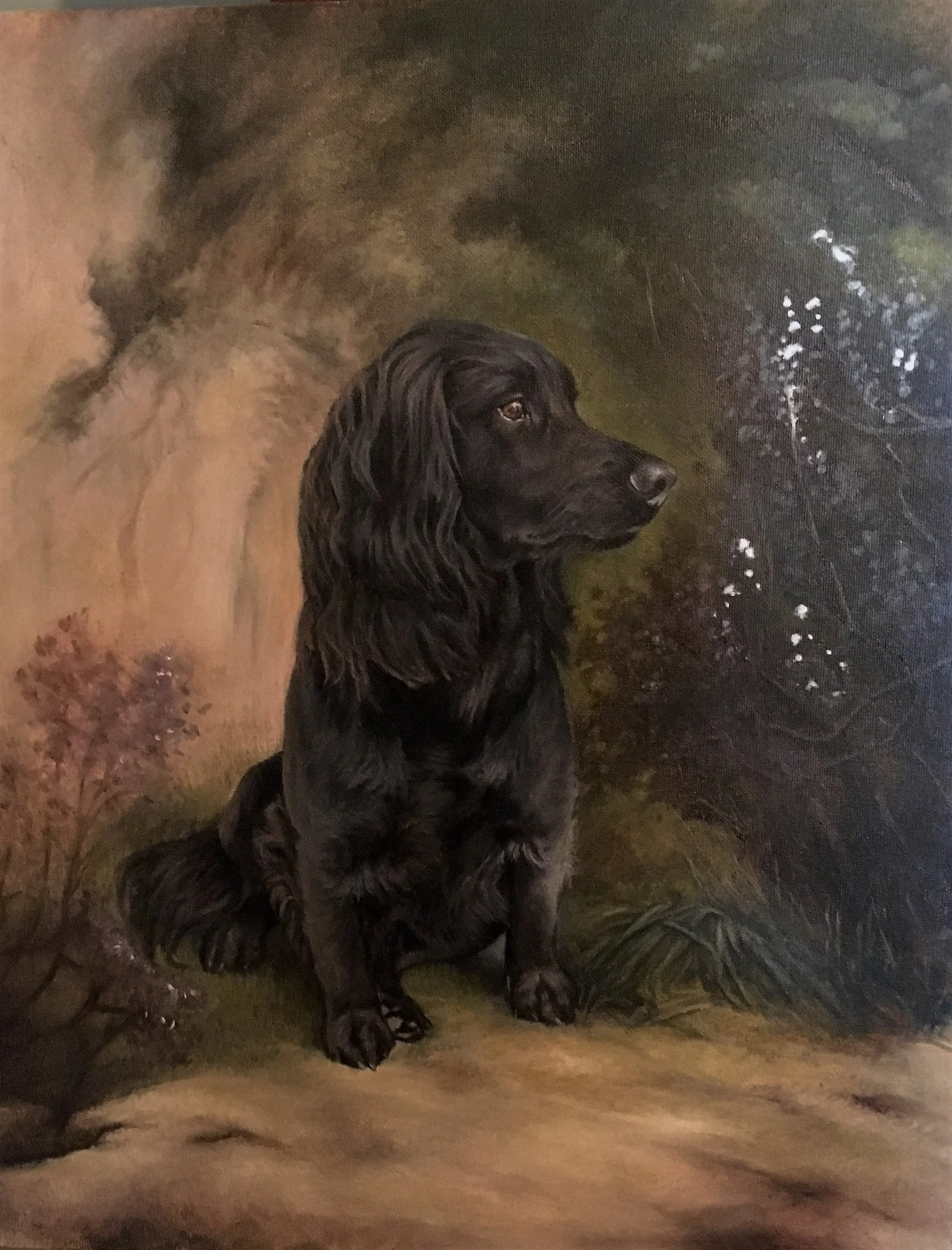 Tiberius (The Spaniel mix)